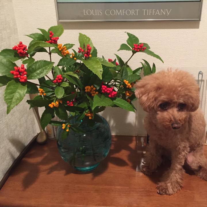 8f089754 42bd 47e2 8e82 7d79e4c5971e