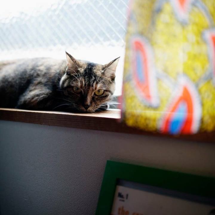 8f091ea2 e766 45c5 b70c 641b5b90634f