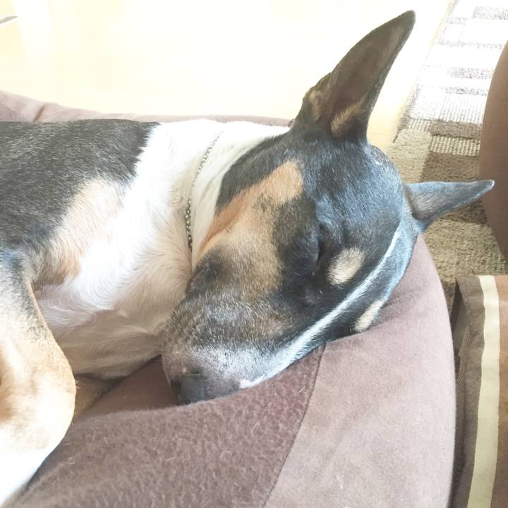 8f09f595 309c 4617 9f5c 905b77a7ff50