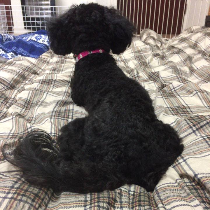 8f0aee34 357c 47bb a2ee 9eed72c1c5b7