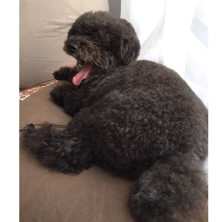 8f0b7427 c78c 40d5 8c13 24635dd13836