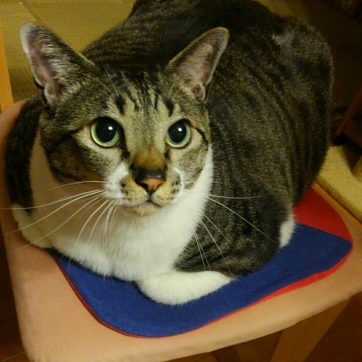 8f0b82f5 9c57 450f ba10 646c4ab2b589