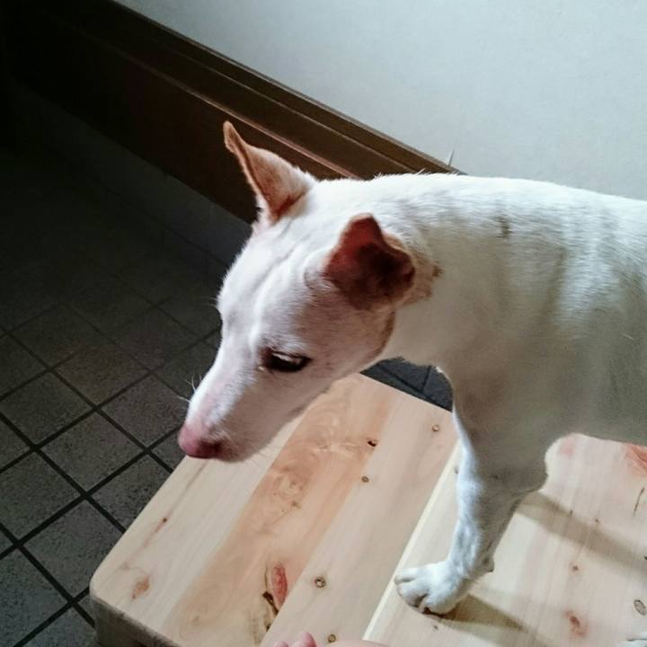 8f0c4d3a e294 44da 998d dfbb13a474ab