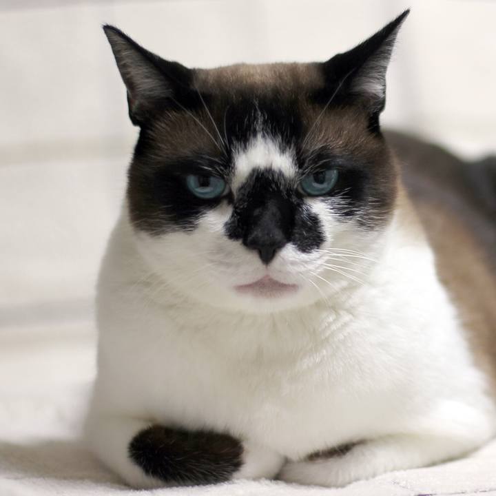 8f0c5d91 d80f 445e 8365 e30a550140b6