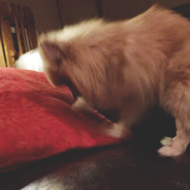 8f0ceb14 9ef2 43f8 b5b9 3648e4b49067