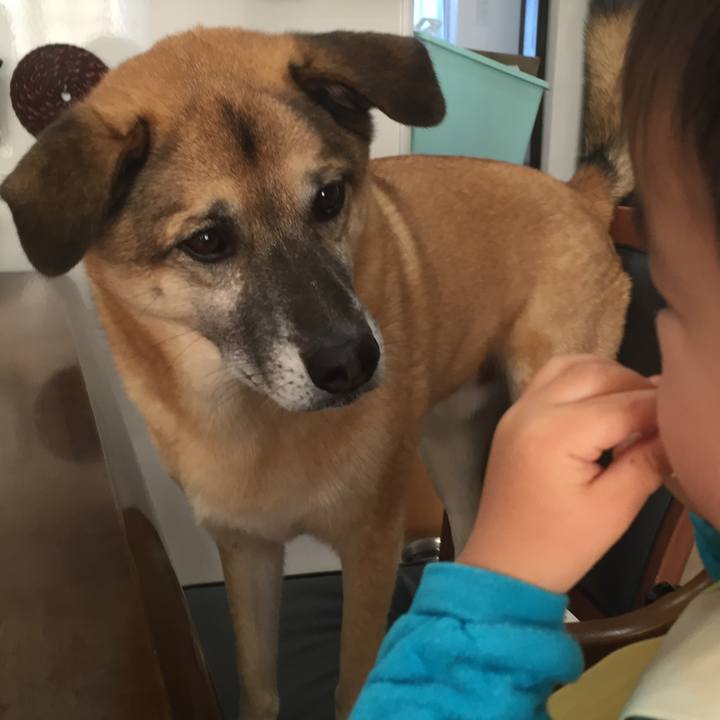 8f0e66df cc6f 4589 ab30 6d334612d796