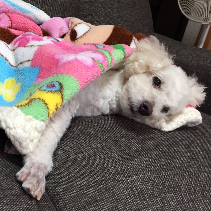 8f0e6e94 cfed 43ff ac74 d6ee6091b925