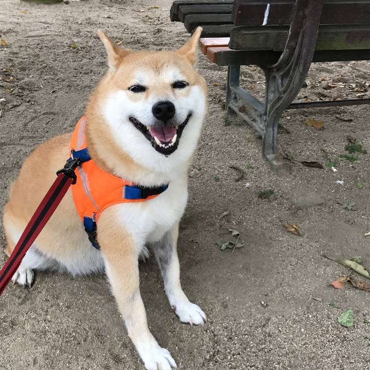 8f0e818e b51e 47c2 a7a4 e70c6fb4cb5e