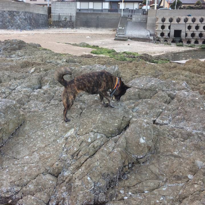 8f0ea463 1546 4264 b666 23775ef9cdeb