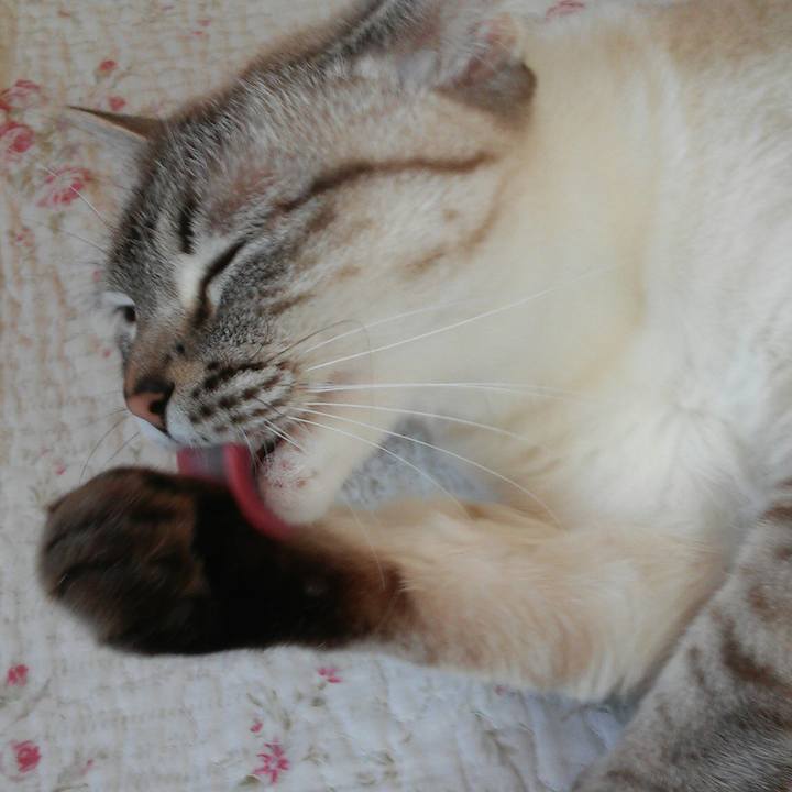 8f0ea963 2a2e 448b b4f6 35dee710623e