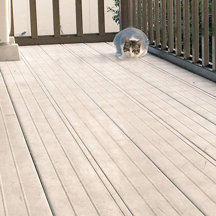 8f10da5d 8bb4 4fc5 b1f5 865430284cf1