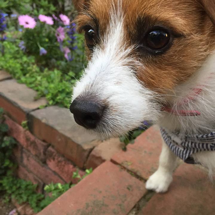 8f112af1 e007 4293 aed7 49ef022f3def