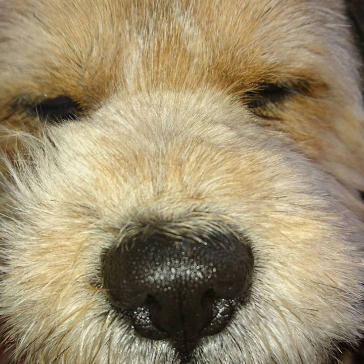 8f119277 146d 4f47 87ed 1b5b0aac4602