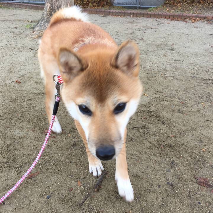 8f128209 7daa 40d9 bc62 b11734c421e6