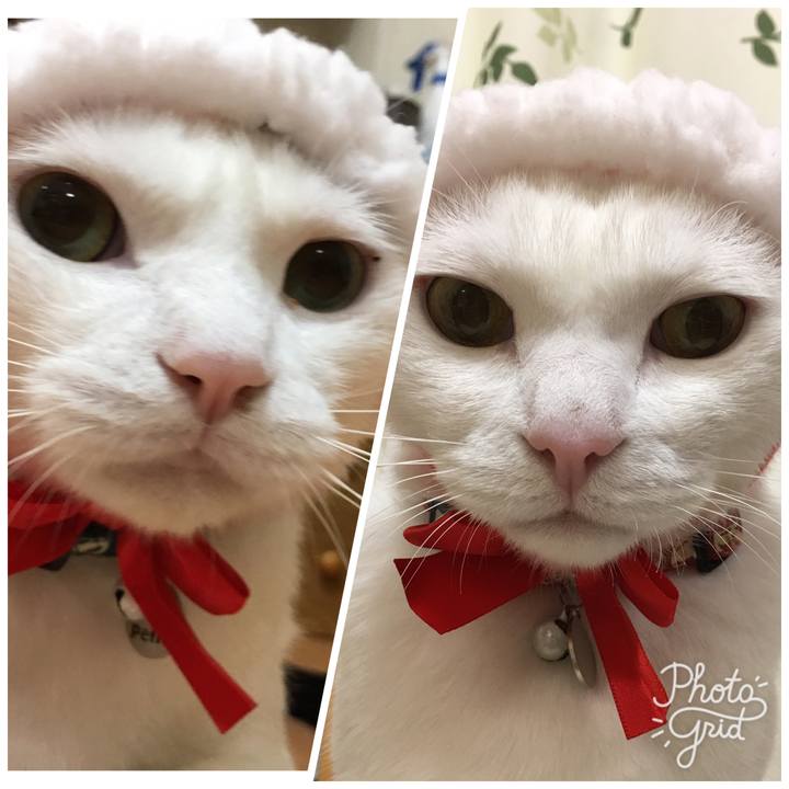 8f13578e b4f6 47bf 9f16 c1d9f01dbc3e