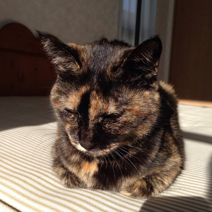 8f137f2c fd47 4ad7 83de 03e7de33aec1