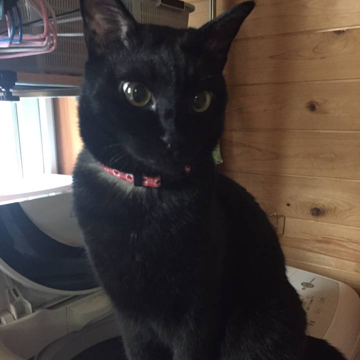 8f147d37 cead 4c63 aa67 135ff24f2de5