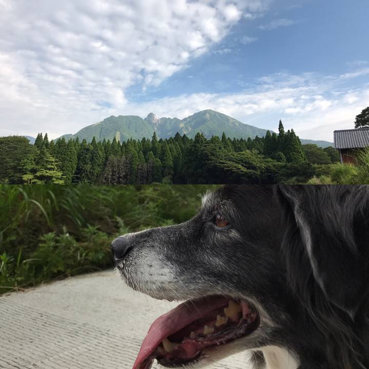 8f157eba 937c 41b2 87eb 1f82b50b4571