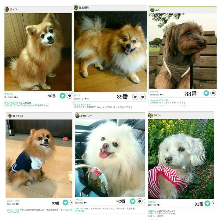 8f15aaef 492b 40db 86a7 6fbd4a79363c