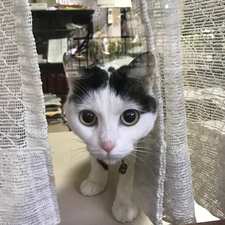 8f15c355 5b16 4893 9492 22bd78db9a67