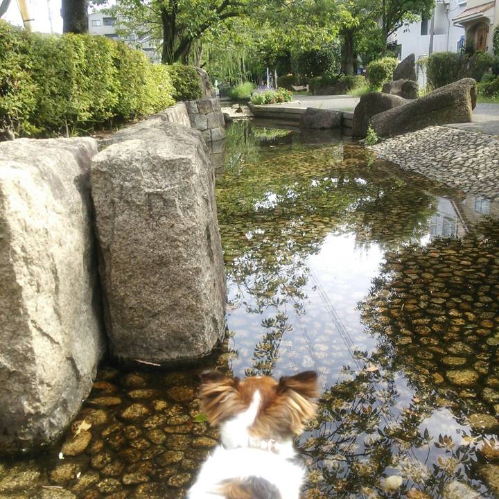 8f15ff65 18e8 4563 8fe5 6a64f537e0f7