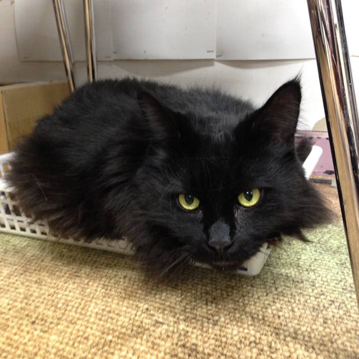 8f16e46d b67e 4fa3 912a d1c0ad68cfbd