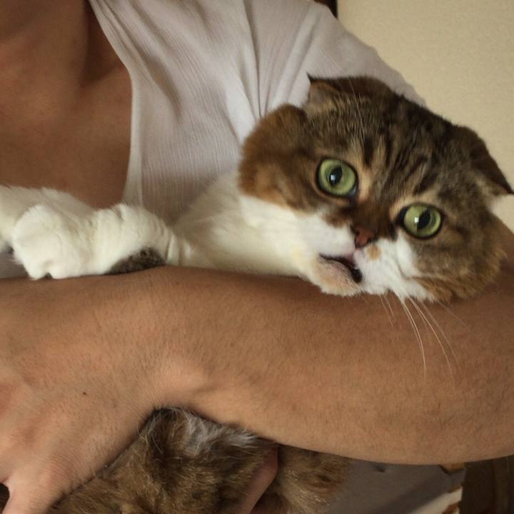 8f1714d7 35c3 4a55 8594 76852f90799c