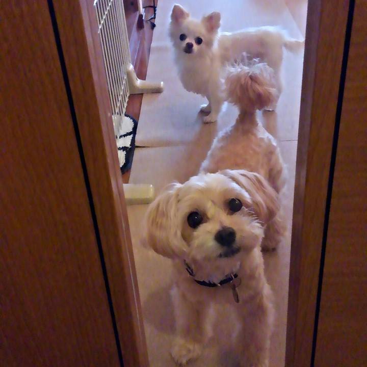 8f191b93 af43 407c b3e9 9e1e1d5aec88