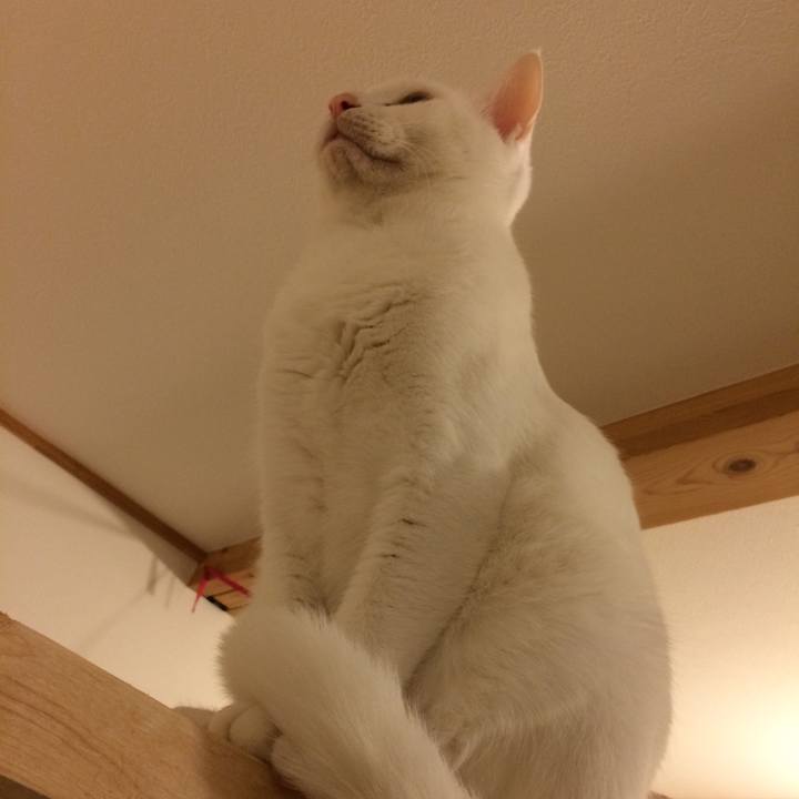 8f192f42 25c3 4605 990e c1a028431228