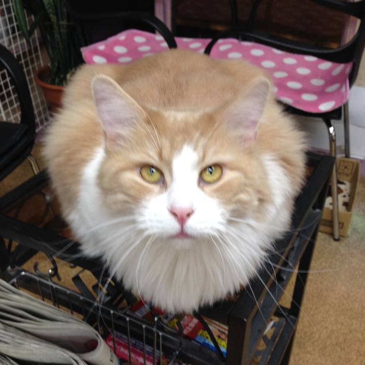 8f1931af 1080 4825 8609 bf6d412e596b