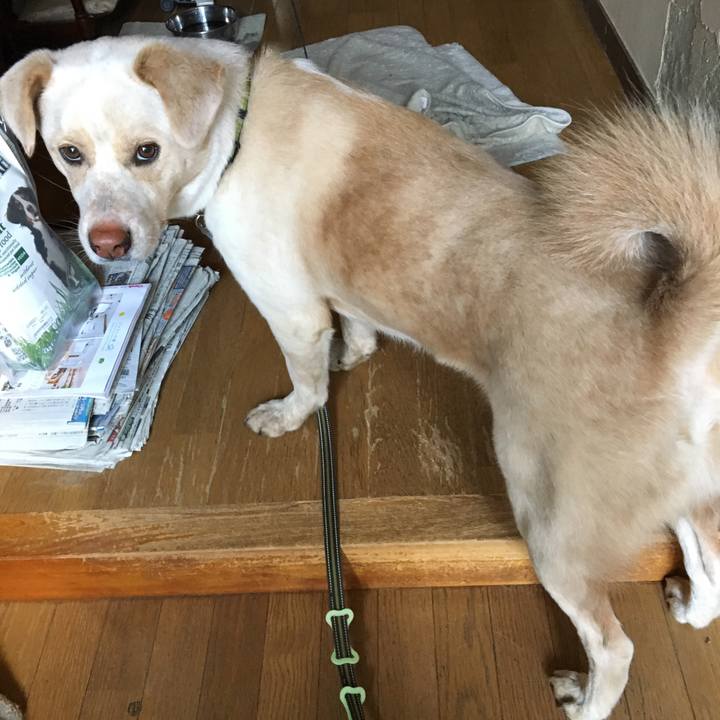 8f1a1d01 75c1 409c b130 88d67007f07c