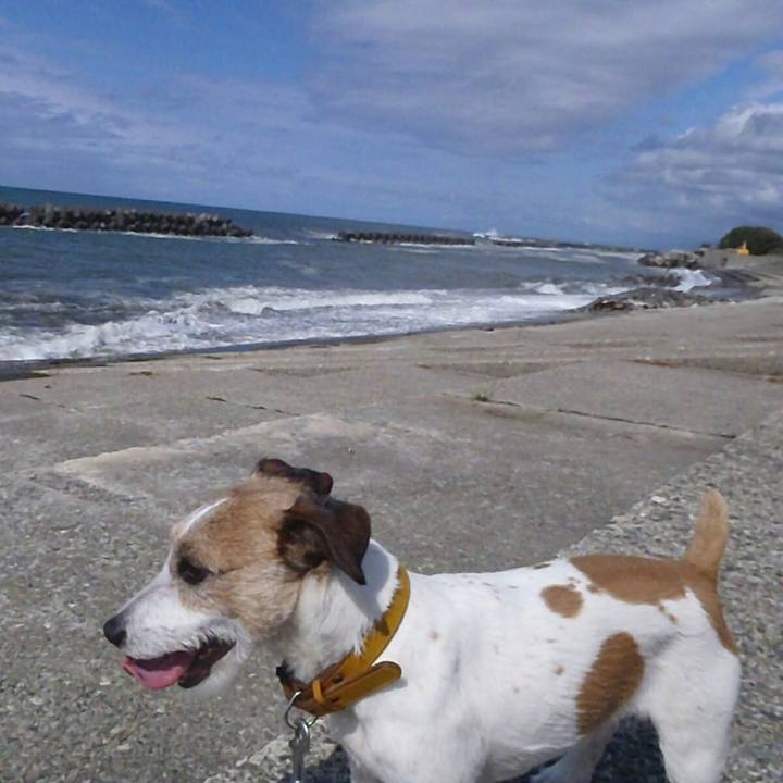 8f1a6b2d d285 4226 92af 2807a9890b0e