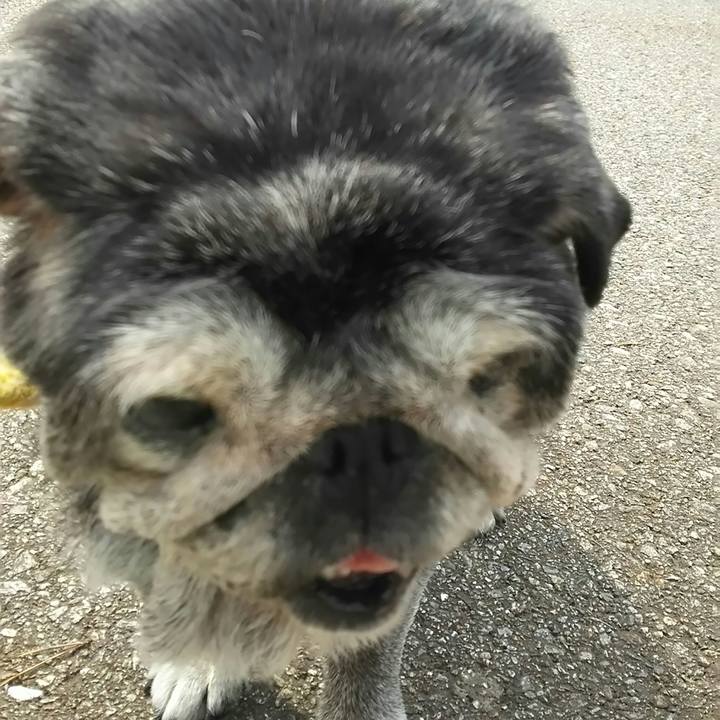 8f1a6d3c ed13 446f 83b7 a42eab9ef8ac