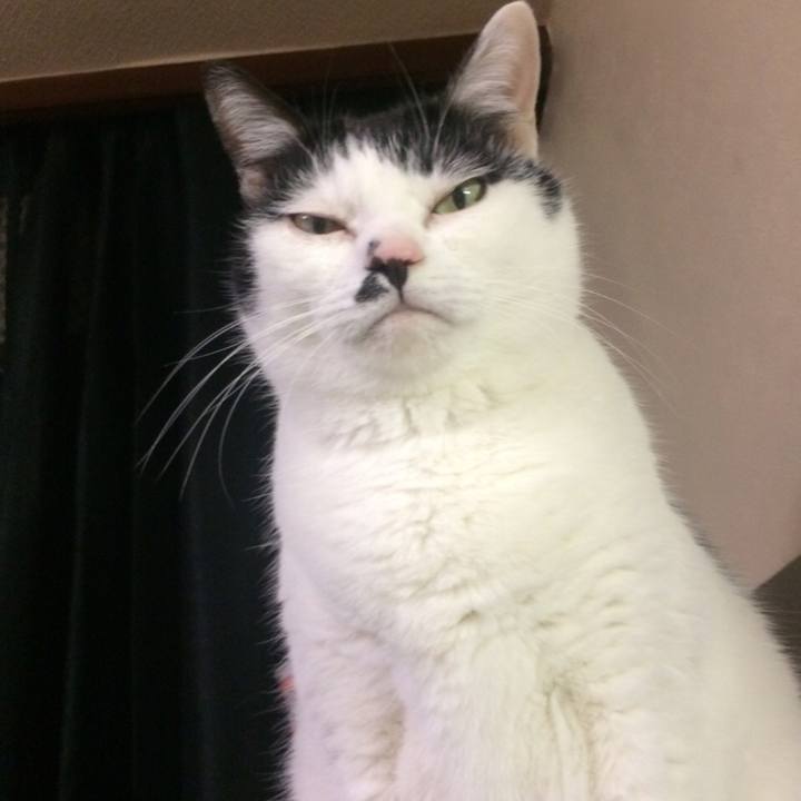 8f1bfb62 811a 45a6 b541 ab4665a8010a