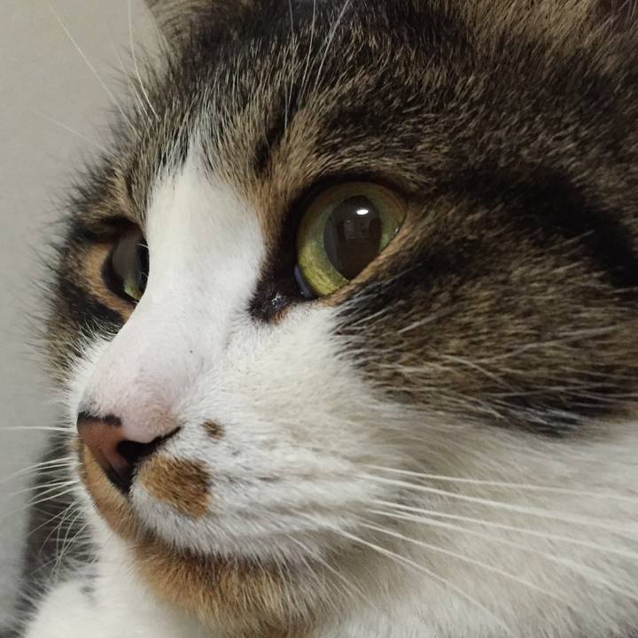 8f1c320d c209 4419 93d0 176787f7671d