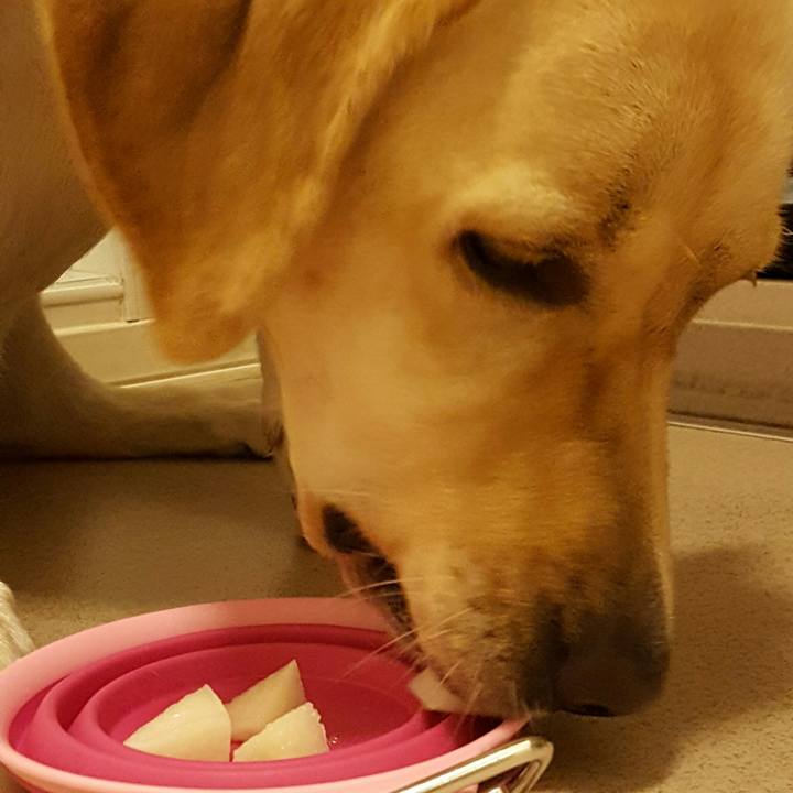 8f1c5506 09ce 422d 8efc 80f781aa6a78