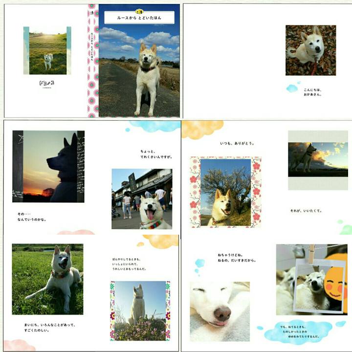 8f1ce665 df13 4892 bc31 240514881fc8