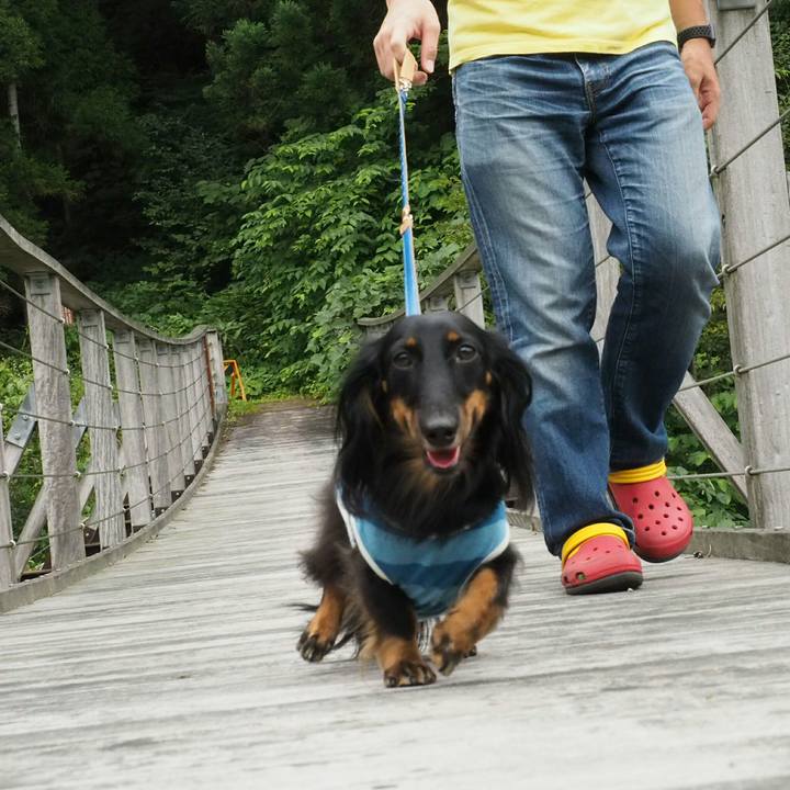 8f1e8d1a 9b74 478f b826 a18602aa5405