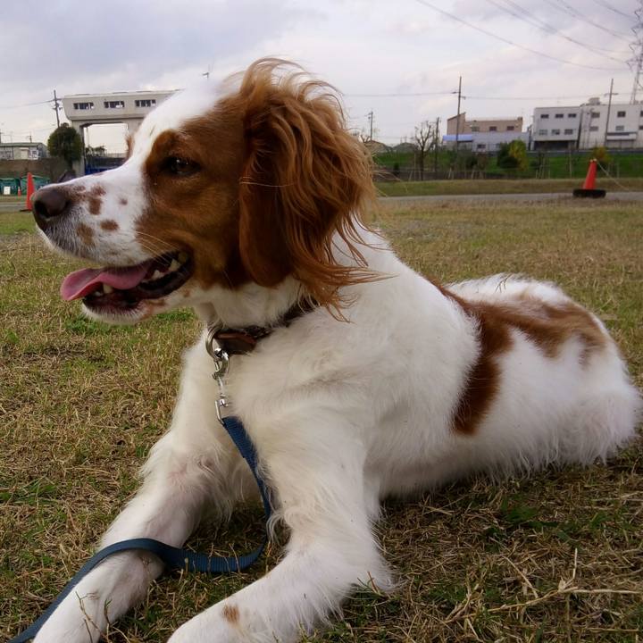 8f1fdd96 f6e2 44ed bdfb ffbc77798a10