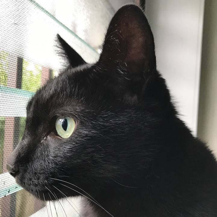 8f1fff07 8df4 413d a150 d6c55f970de6