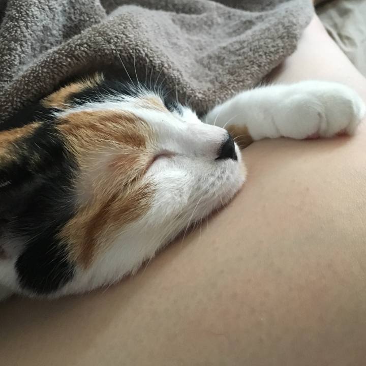 8f2007d0 84f8 4d13 99d9 2e109690fbc8