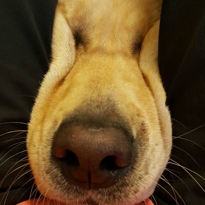 8f2169cb e40a 4cab b810 c2b3a5908ffb