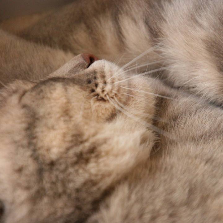 8f21c72d cc90 441b 92e4 996ba63dd1ba