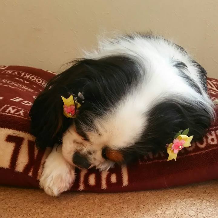 8f21d128 8911 45dc 8ee5 53658881321e