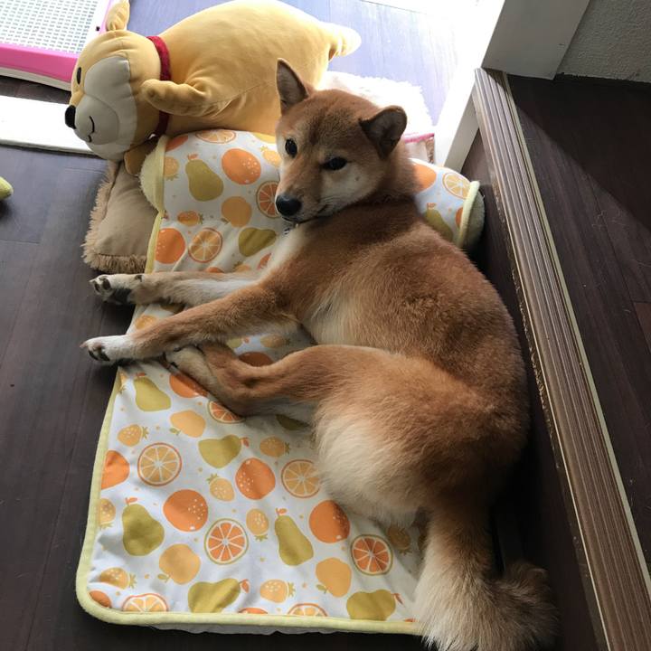 8f21eee8 7cdc 4683 b48c beefd7d9d8b3