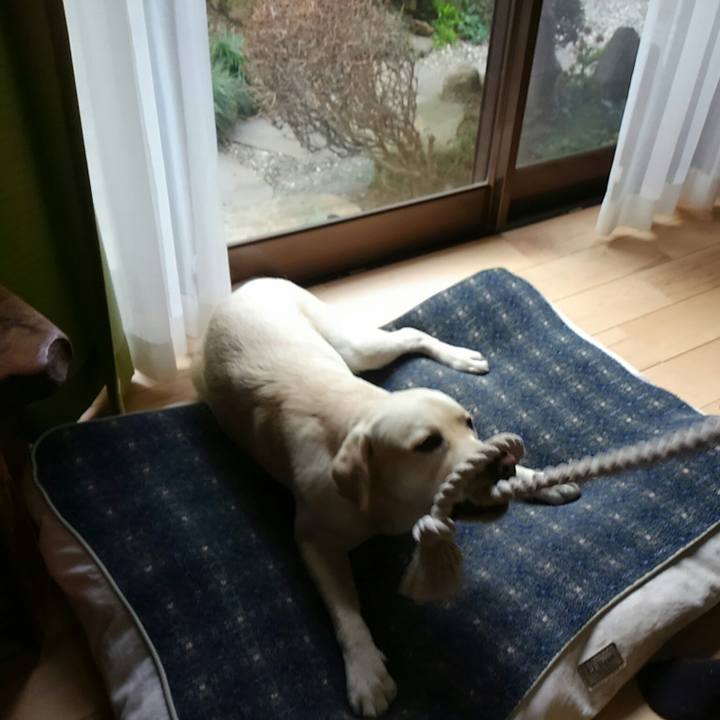 8f21fd8e d467 4daf 83b9 f5298319b770