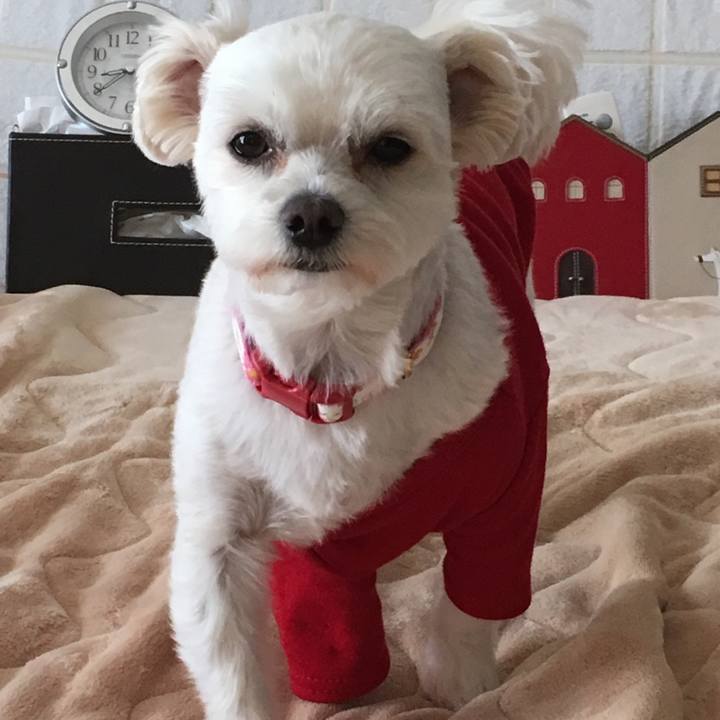 8f22427b 1546 4a29 82e8 257824652245