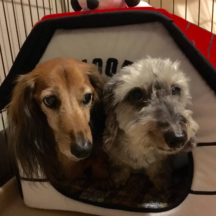 8f22ce92 9a7f 48d1 8bcf cea4290d6f8c