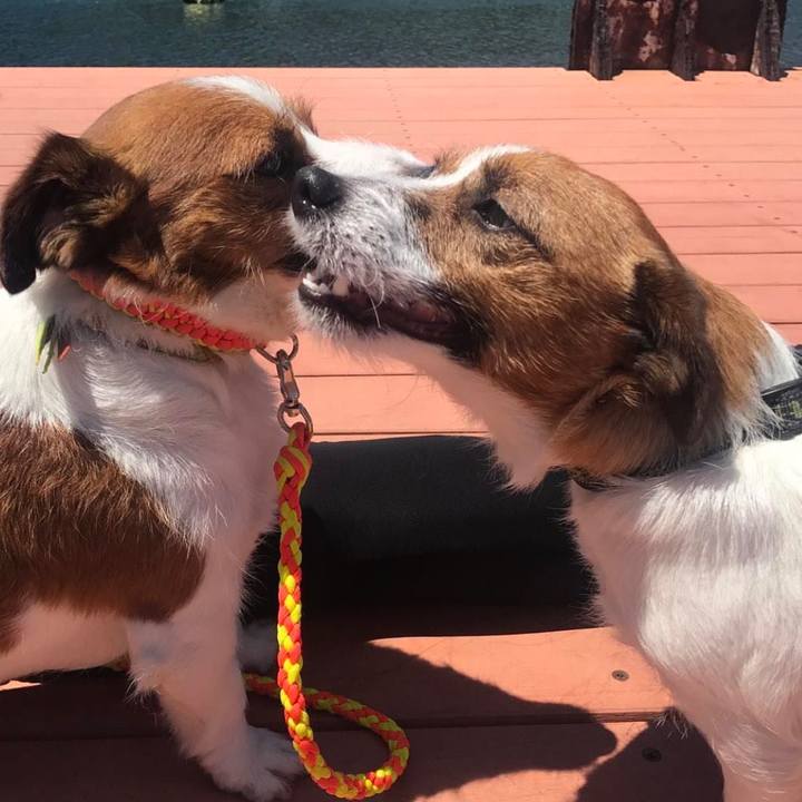 8f22e553 e5ac 44dc b79e 594f734e78ba