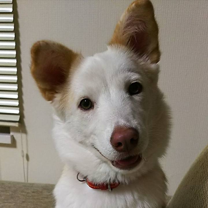 8f2339ac c0fd 46c6 9cd5 e682220f947a